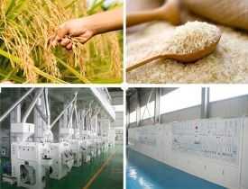online course Certificate in Rice Milling Technology