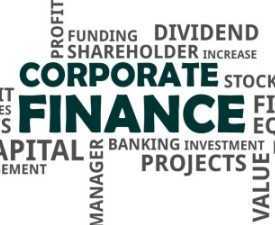 Online Course Corporate Finance online course