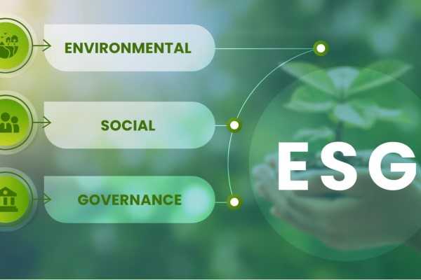 Online Course Certified ESG (Environmental