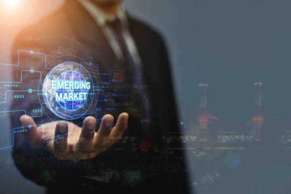 Online Course Certified Emerging Markets Business Manager