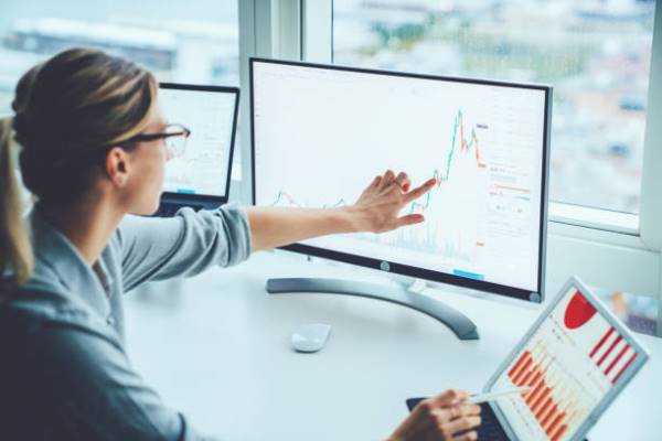 Online Course Certified Risk Control Analyst